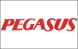 Pegasus